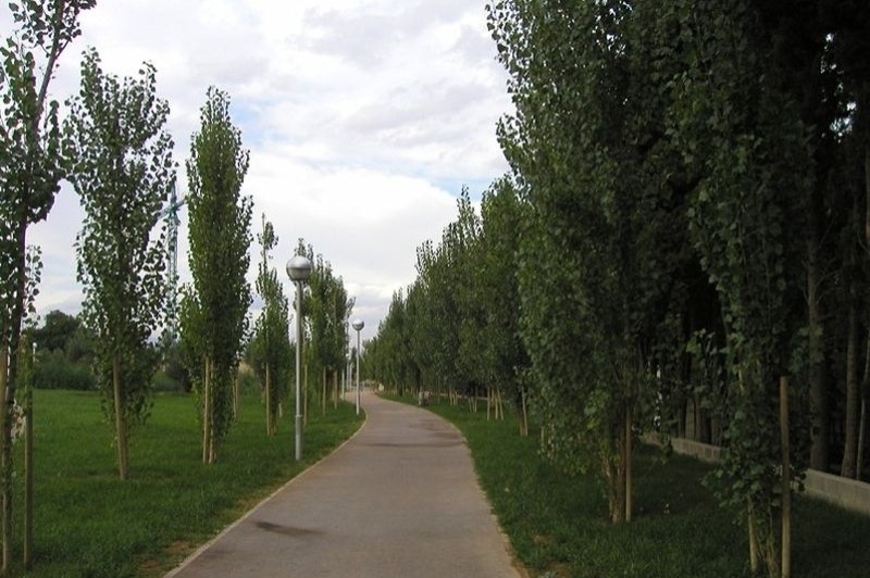 Viles Florides (Vila Florida)