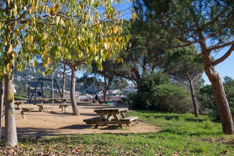 Viles Florides (Vila Florida)