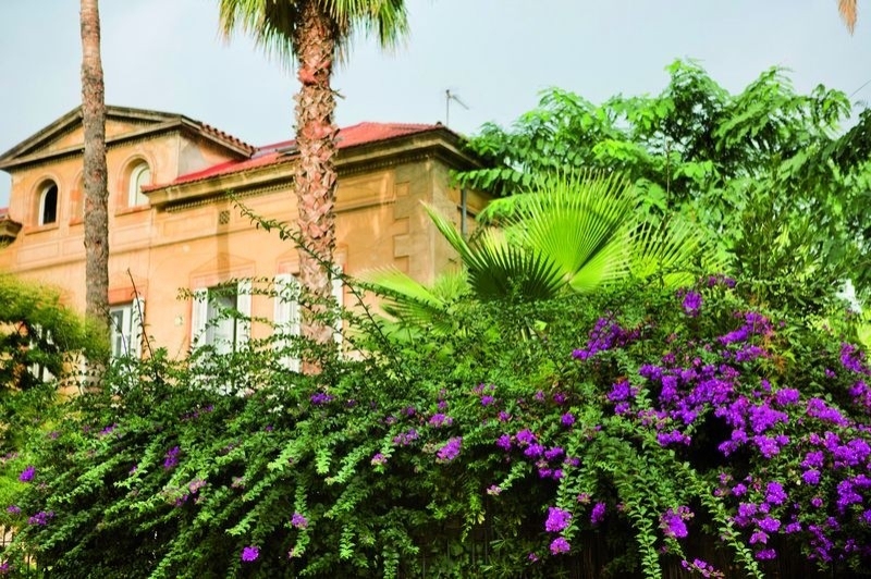 Viles Florides (Vila Florida)