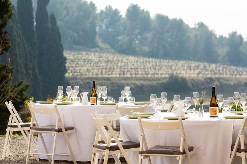 Celler Albet i Noya (Activitat)