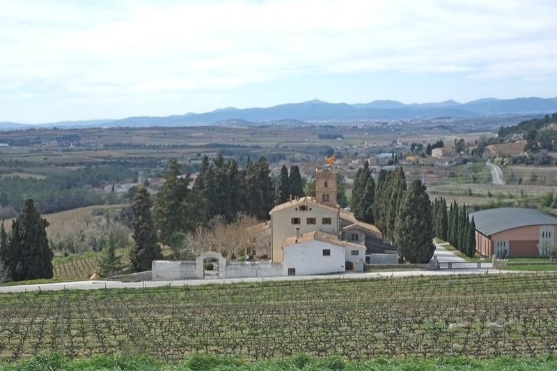 Celler Albet i Noya (Vistes)