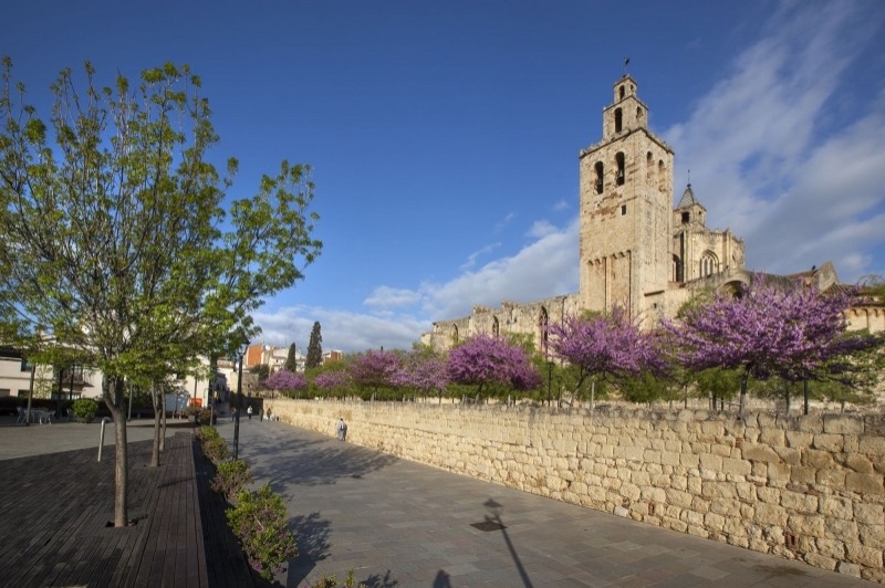 Monestir de Sant Cugat (Monestir 4)