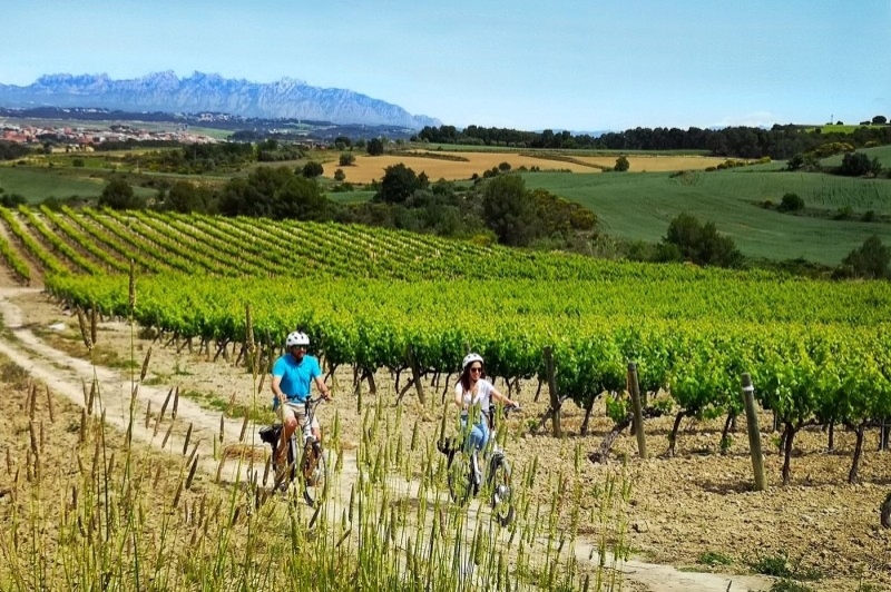 Bikemotions, enoturisme al Penedès (Enoturisme Al Penedes)