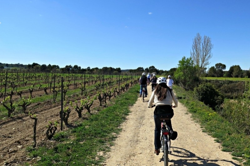 Bikemotions, enoturisme al Penedès (Enoturisme Al Penedes)