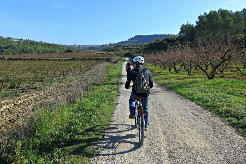 Bikemotions, enoturisme al Penedès (Enoturisme Al Penedes)