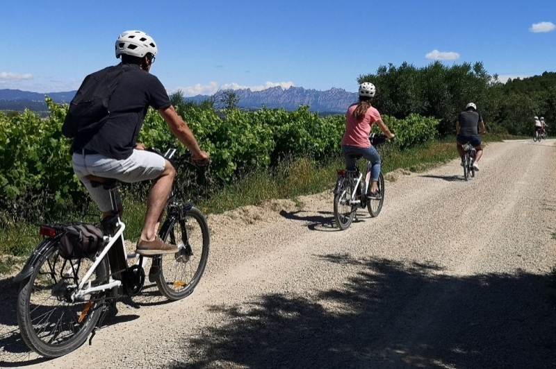Bikemotions, enoturisme al Penedès (Enoturisme Al Penedes)