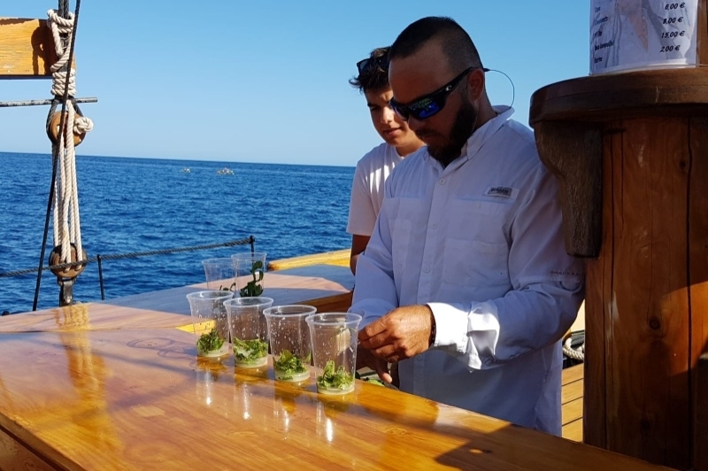 Sailing Boats and Events (Goleta Äran) (Goleta Aran)