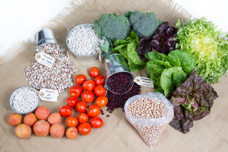 Turisme al Vallès Oriental (Productes Valles Oriental)