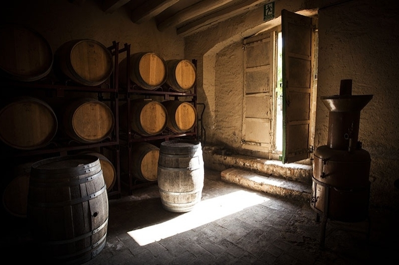 Caves Bohigas (CavesBohigas4)