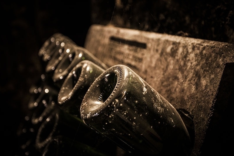 Caves Bohigas (CavesBohigas9)