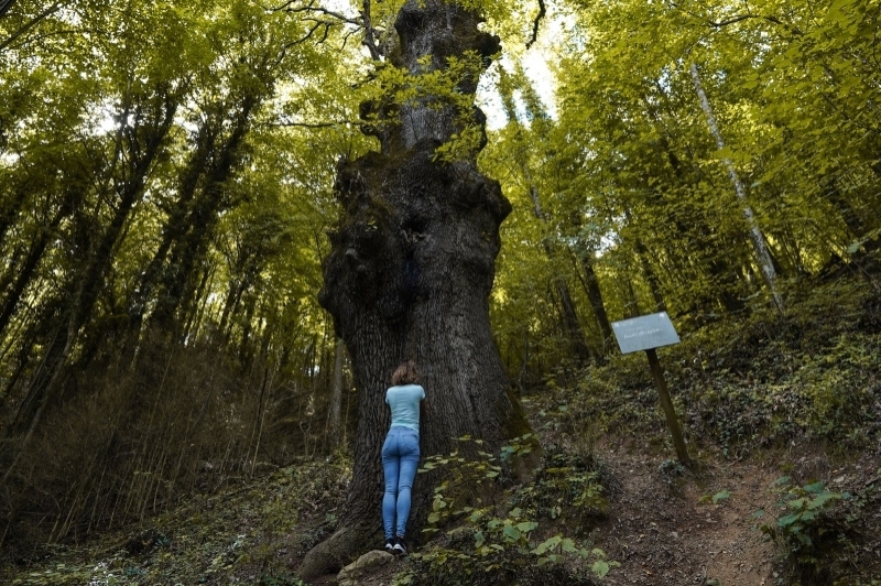 Angelats Hotel (Angelats Hotel)