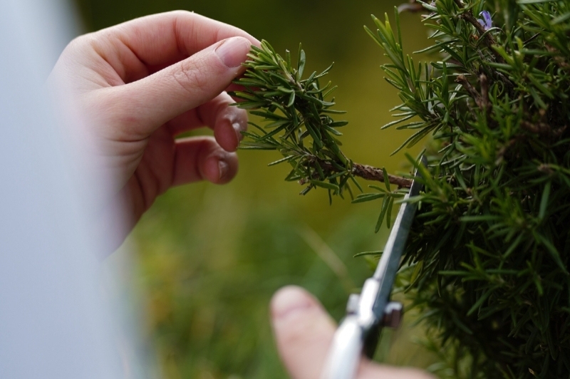 La Santa Restaurant (La Santa Restaurant)