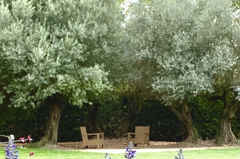 Cal Guineueta (Cal Guineueta)