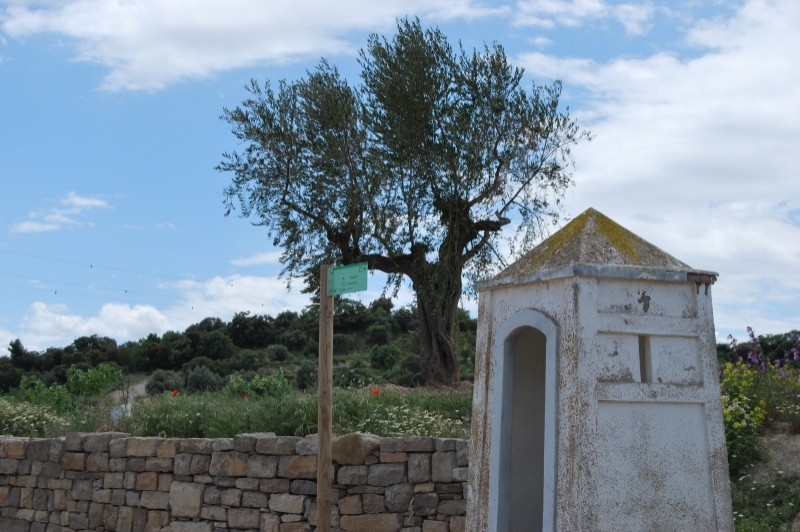 Mas de Colom, Casa Borges (Casa Borges Mas De Colom)