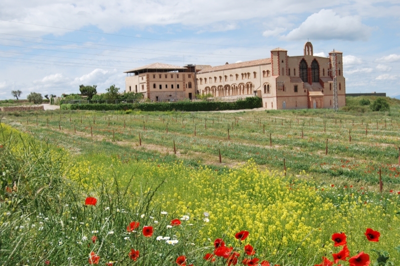 Mas de Colom, Casa Borges (Casa Borges Mas De Colom)