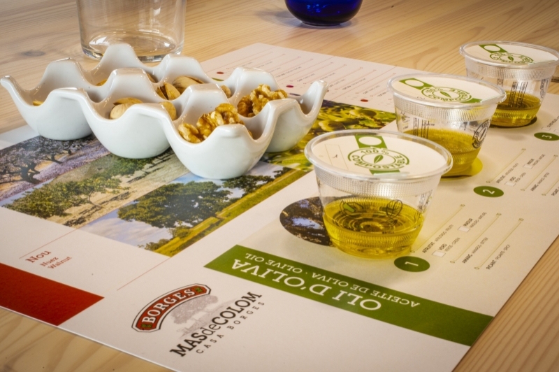 Mas de Colom, Casa Borges (Casa Borges Mas De Colom)