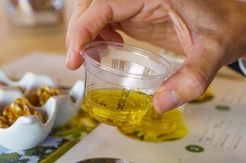 Mas de Colom, Casa Borges (Casa Borges Mas De Colom)