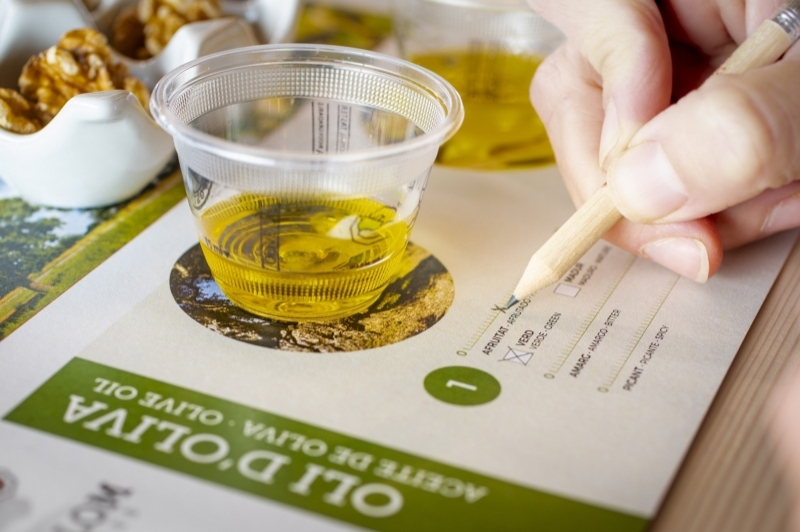 Mas de Colom, Casa Borges (Casa Borges Mas De Colom)