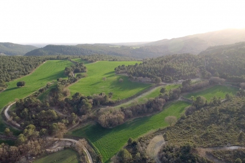 Mas Baldrich / Petit Mas Baldrich (Mas Baldrich)