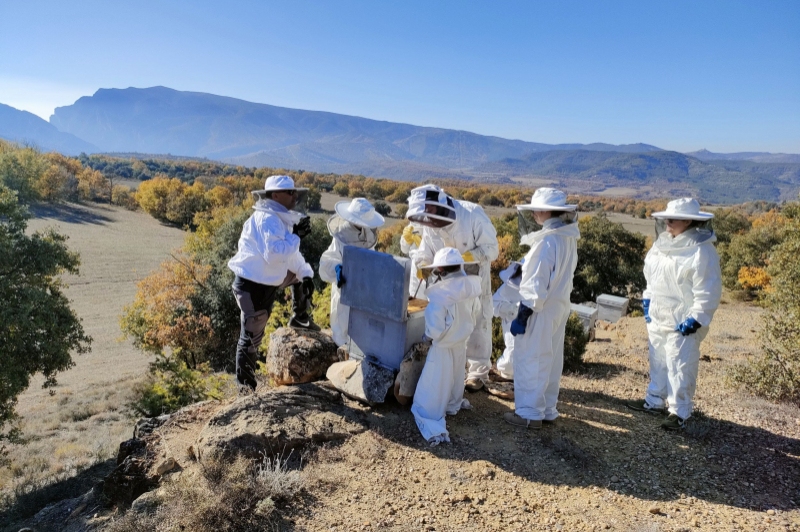 Apiferro Mel crua del Montsec (Visita 1)