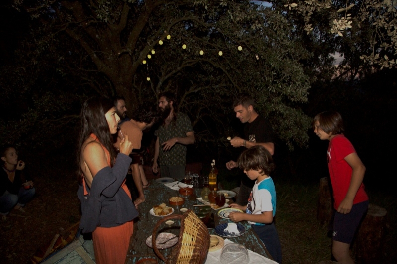 Apiferro Mel crua del Montsec (Tast 2)