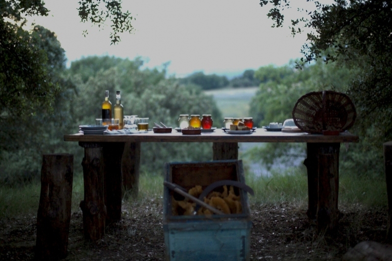 Apiferro Mel crua del Montsec (Tast)