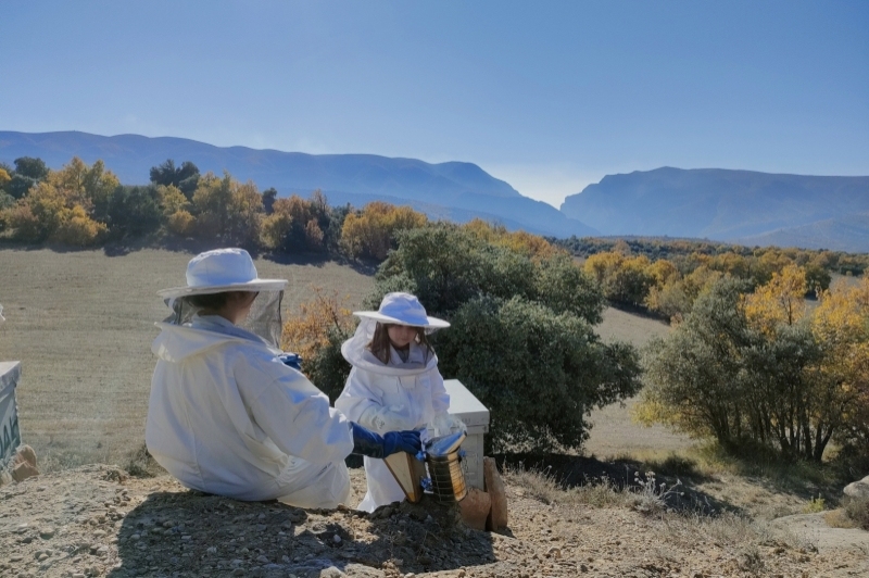 Apiferro Mel crua del Montsec (Visita 4)