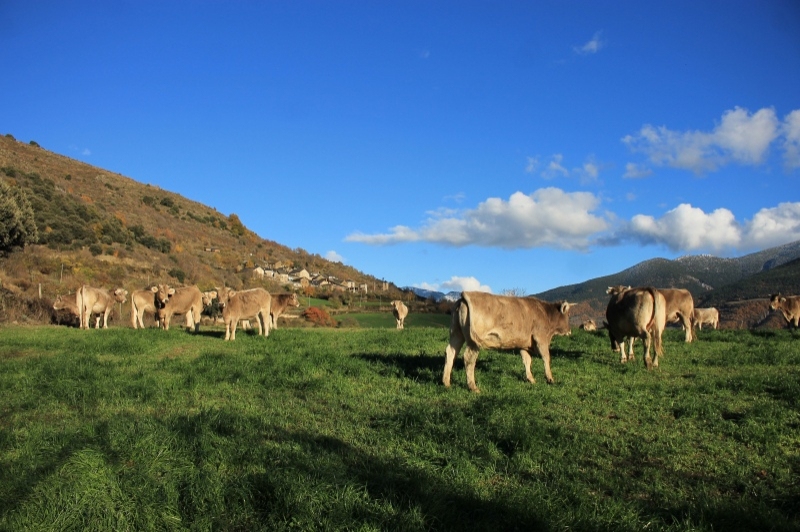 Turisme al Pallars Sobirà (Turisme Pallars Sobira)
