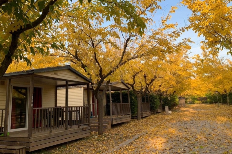 Càmping Oliana (Camping Oliana)