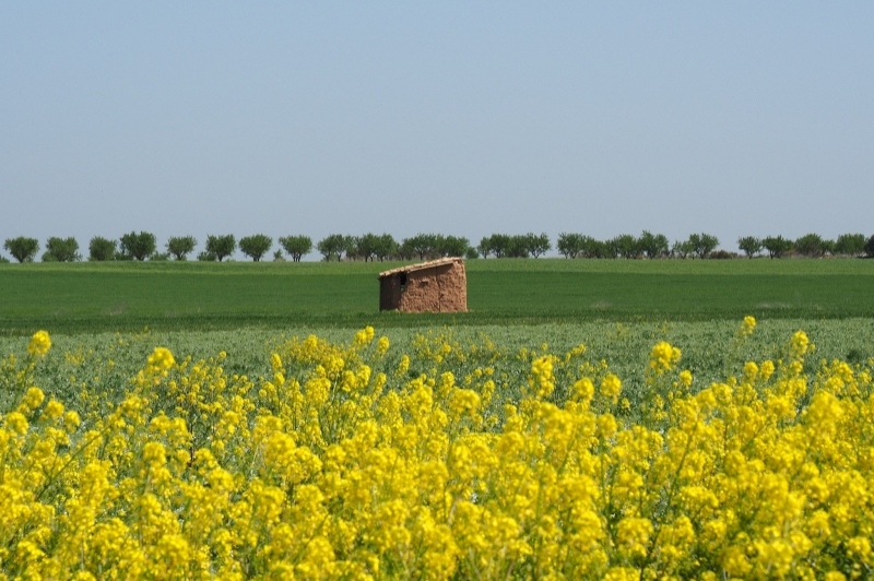 Turisme Urgell (Turisme Urgell)