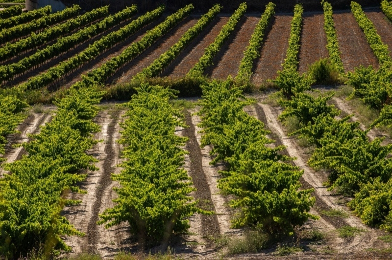 Turisme Urgell (Turisme Urgell)