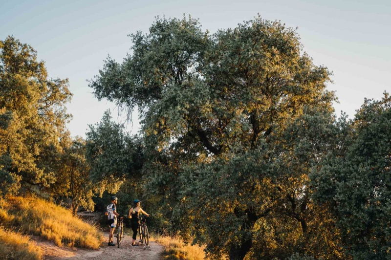 Turisme Urgell (Turisme Urgell1)