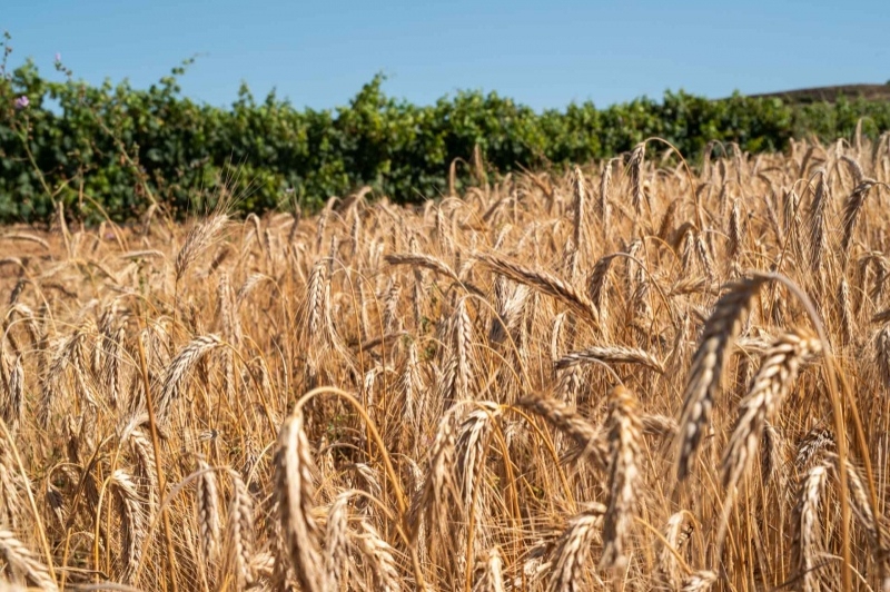 Turisme Urgell (Turisme Urgell)