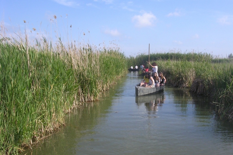 Lo Mas de la Cuixota (Lo Mas De La Cuixota)