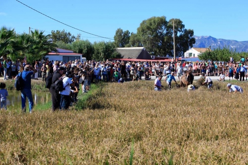 Lo Mas de la Cuixota (Lo Mas De La Cuixota)