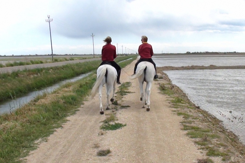 Lo Mas de la Cuixota (Lo Mas De La Cuixota)