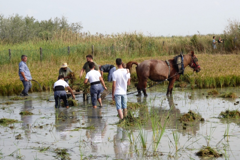 Lo Mas de la Cuixota (Lo Mas De La Cuixota)