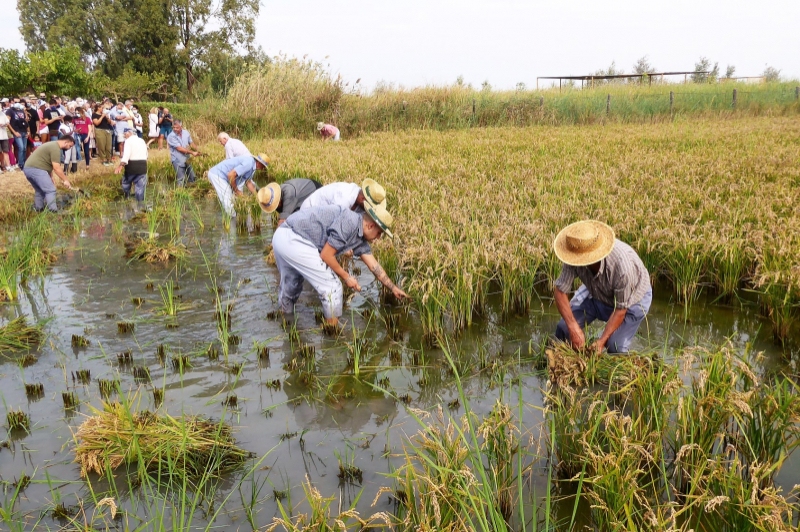 Lo Mas de la Cuixota (Lo Mas De La Cuixota)