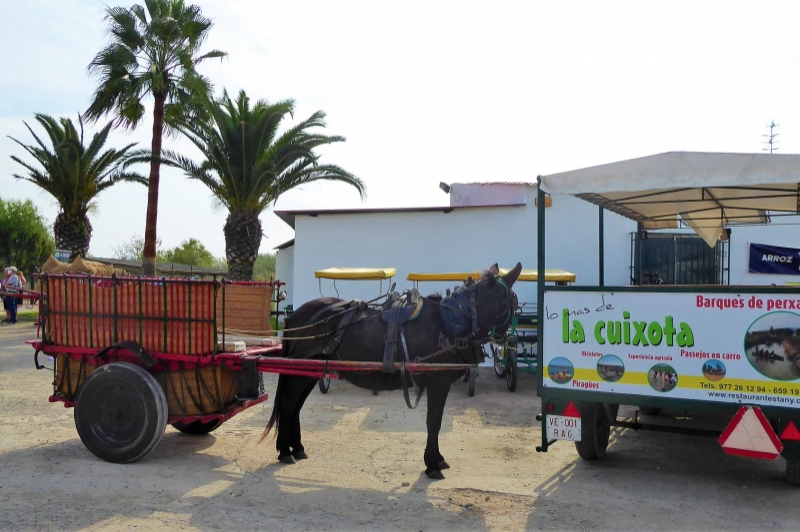 Lo Mas de la Cuixota (Lo Mas De La Cuixota)