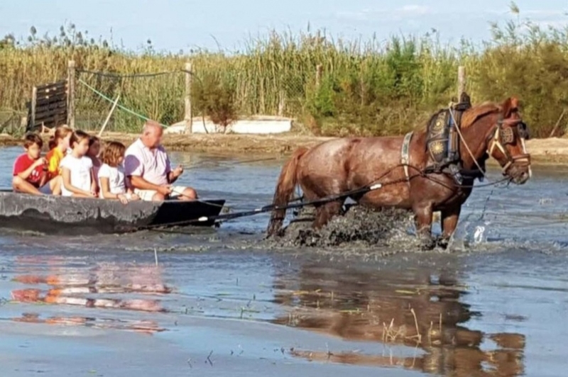 Lo Mas de la Cuixota (Lo Mas De La Cuixota_1)