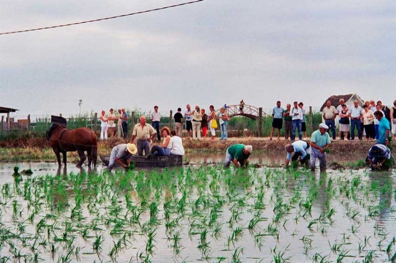 Lo Mas de la Cuixota (Lo Mas De La Cuixota)