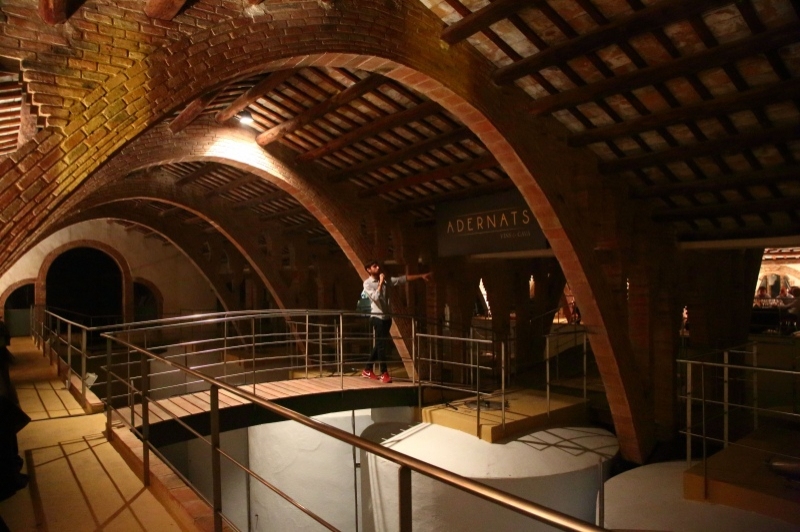 Adernats - Vinicola de Nulles (Vinicola De Nulles Adernats )