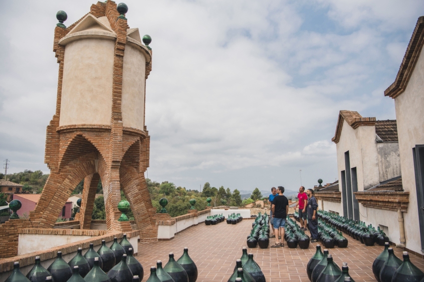 Cooperativa Falset Marçà (Estuditardet_etim163)