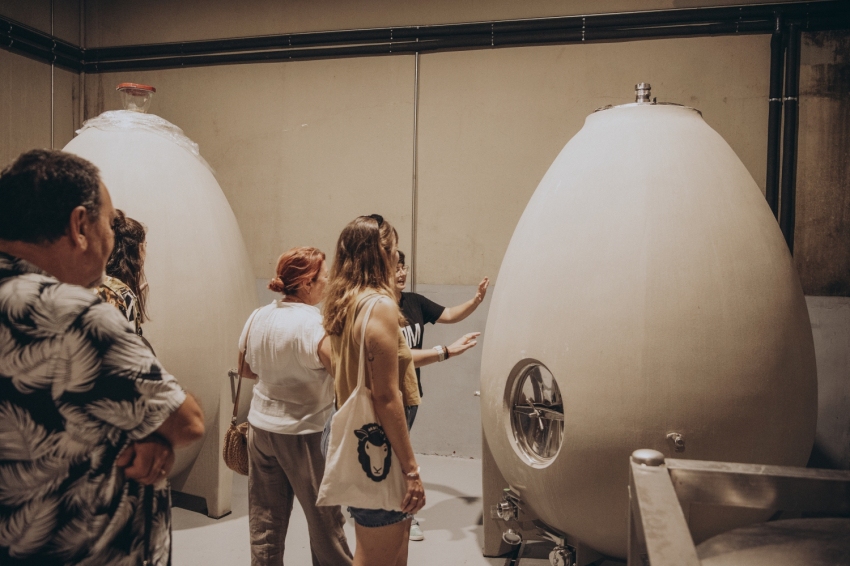 Cooperativa Falset Marçà (Estuditardet_etim197)