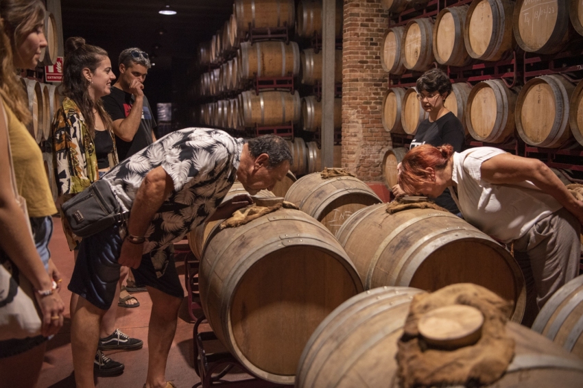 Cooperativa Falset Marçà (Estuditardet_etim200)