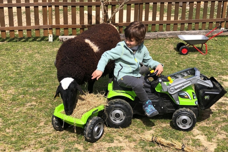 Granja Escola Corral de Neri (Granja Escola Corral De Neri)