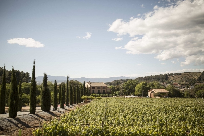 Celler Can Roda (Celler Can Roda1)