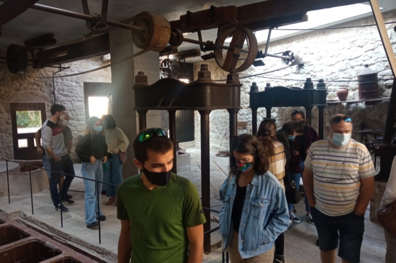 Cooperativa Arbequina (Arbequina.)