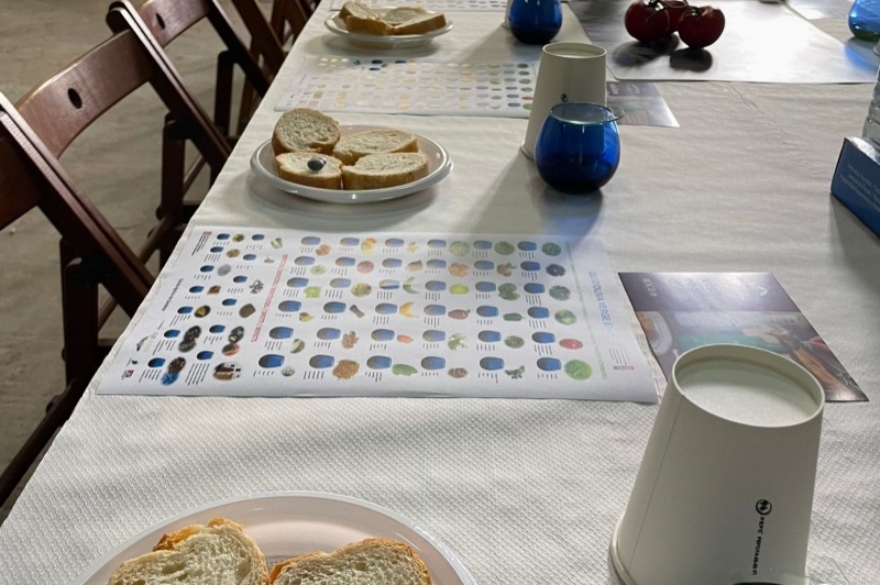 Cooperativa Arbequina (Arbequina.)