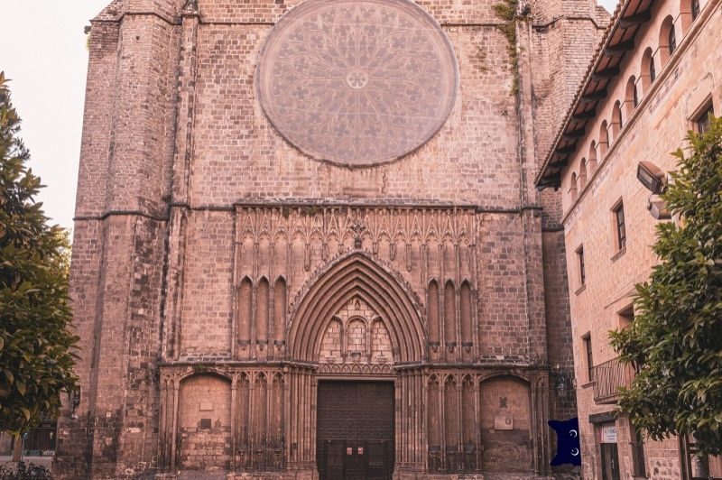 Gimcanes GeoCats (Gimcanes Geocats)